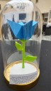 Obraz przedstawia różę wydrukowaną na drukarce w technologii 3D