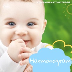 Zdjęcie artykułu Harmonogram oceny formalnej